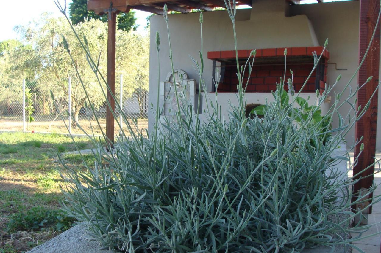 Gorjelina 'S House Villa Volos Exterior foto